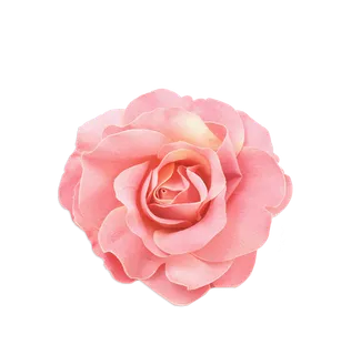 鲜花玫瑰免扣素材