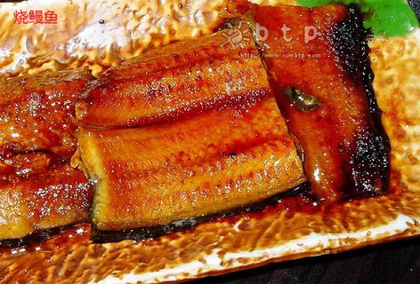 烧鳗鱼美食元素菜品 烧鳗鱼美食元素菜品