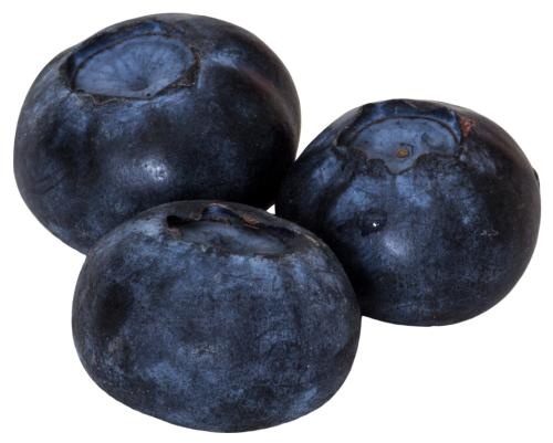 蓝莓 PNG免抠(500x401)