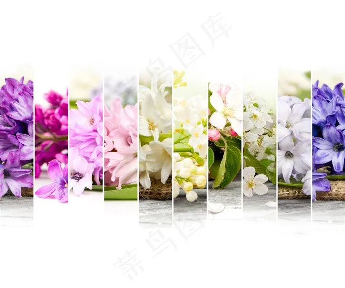 漂亮唯美的花背景图