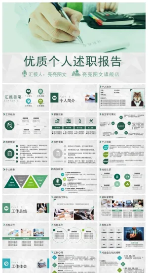 述职报告总结精美ppt模板 预览图