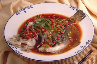 RCS-6625双椒多宝鱼