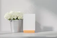 灰色空间白色纸张唯美花卉背景图片