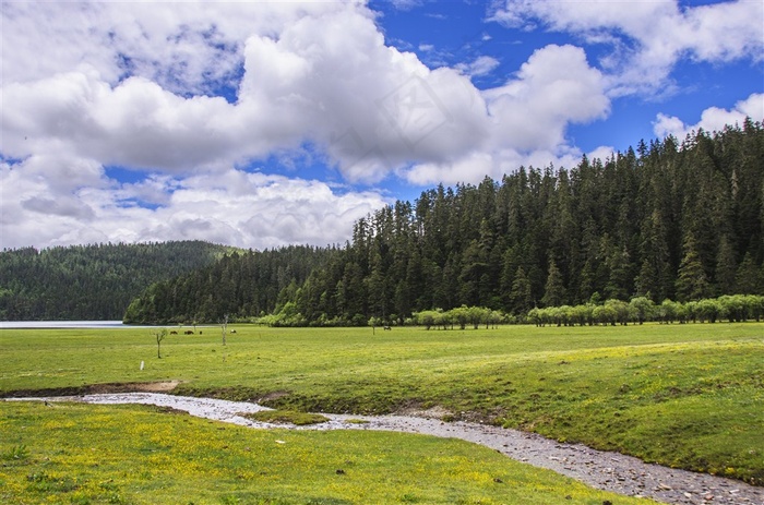 云南普达措国家公园风景高清素材图