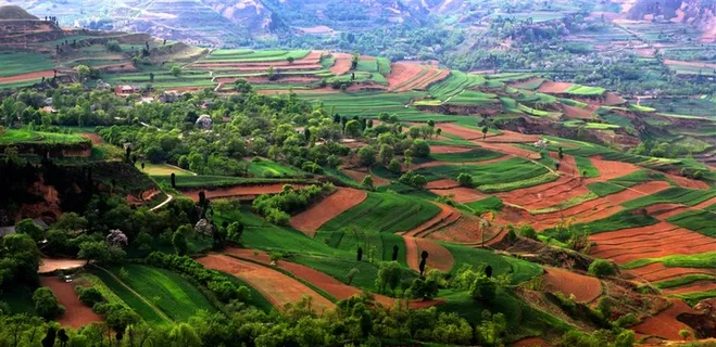 山野梯田高清大图 山野梯田高清大图