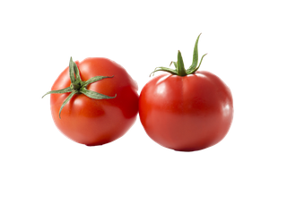 西红柿 (33)超市商品白底图免抠实物摄影png格式图片透明底