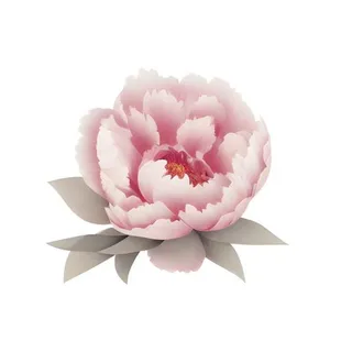 牡丹花芍药免抠