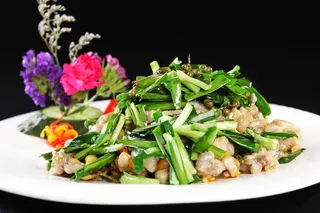 R00231碧绿牛蛙 (3)