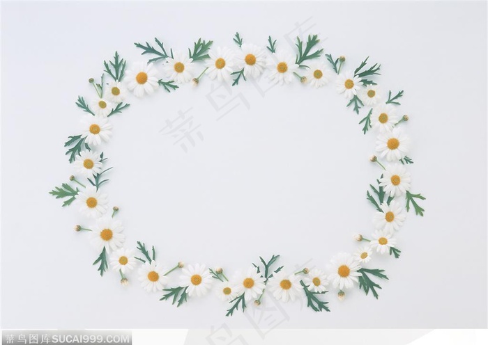 相框边框-白色菊花组成的边框