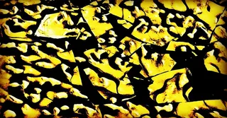 记忆碎片爱恨交杂