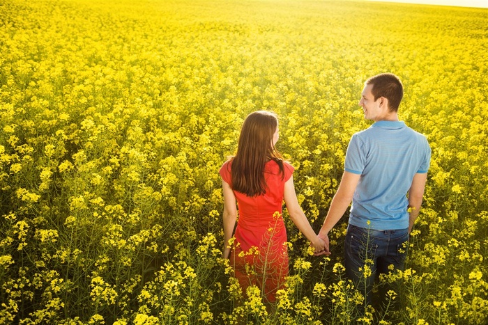 油菜花里牵手的情侣图片