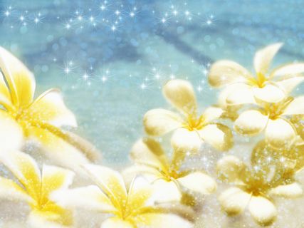 图片设计素材背景鸟语花香