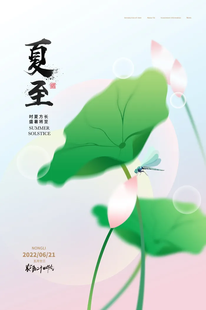 创意小清新荷花夏至宣传海报