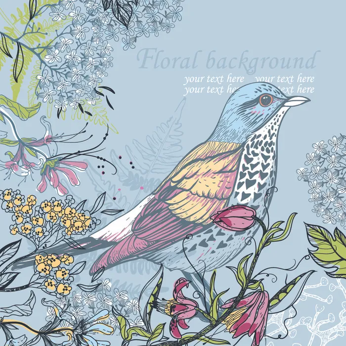 手绘 插画鸟 画眉鸟eps,ai矢量模版下载