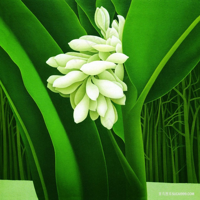 树叶白色花卉油画