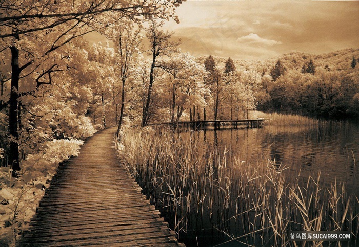 公园河流木桥风景画