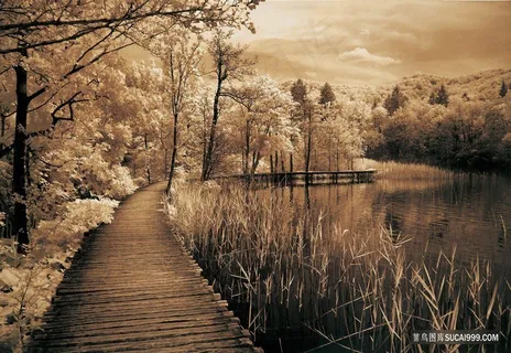 公园河流木桥风景画