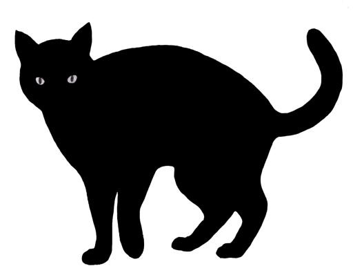 黑色大猫 PNG免抠(1181x890)