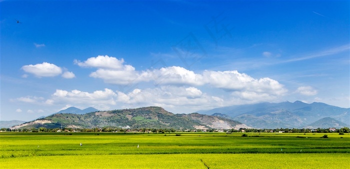 美丽的田野景色