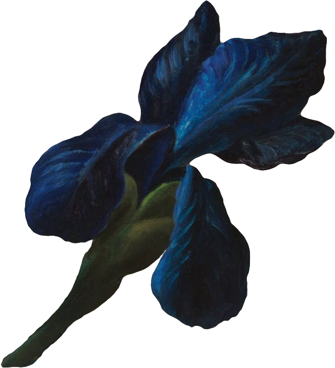 复古油画质感宫廷花卉植物花朵鲜花拼贴图案PNG免抠图片设计素材