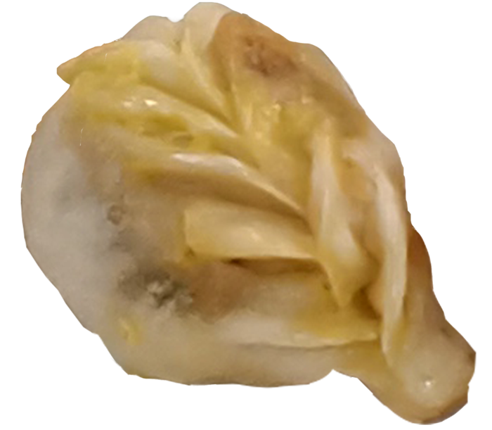 沙县柳叶生煎饺子家庭自制免抠元素实拍高清摄影食物素材元素psd模版下载