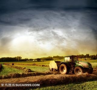 葡萄酒庄园 高清农场图片素材