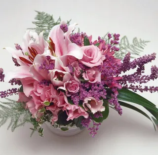 花盆鲜花玫瑰花盆栽花素材高清