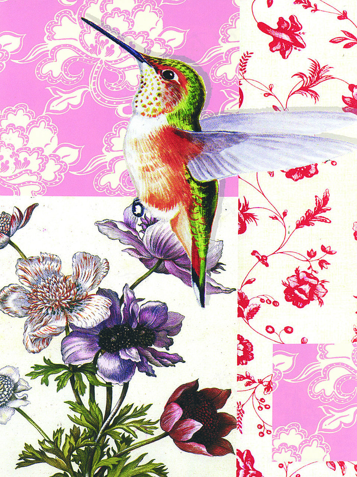 百灵鸟高清花卉艺术插画