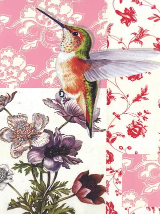 百灵鸟高清花卉艺术插画