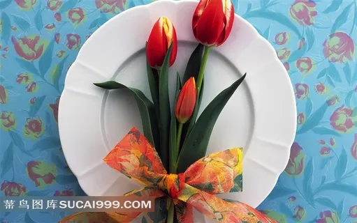 娇艳的红色郁金香鲜花花艺大餐