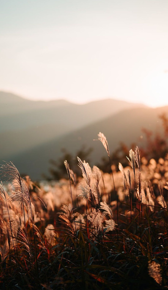 初升太阳紫气东来秋日风景