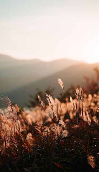 初升太阳紫气东来秋日风景