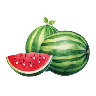 西瓜免抠
