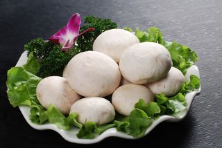 蘑菇香菇金针菇杂菇菌类美食素菜