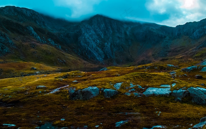 风景画 绿地风景 