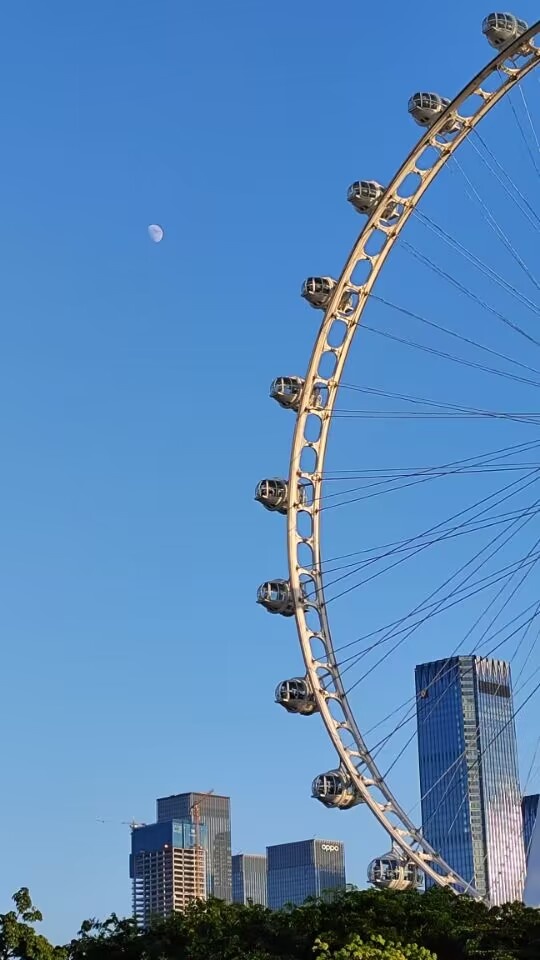 风景图片 摩天轮与月