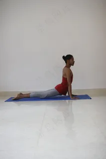 平板支撑瑜伽姿势图片