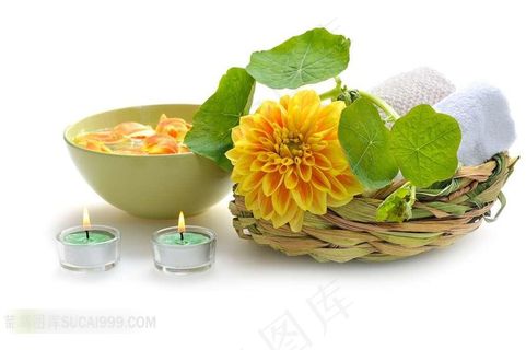 黄菊花美容背景