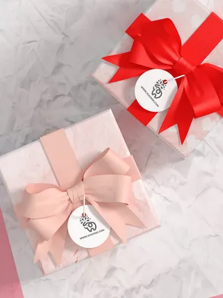 包装智能贴图样机VI效果PSD素材