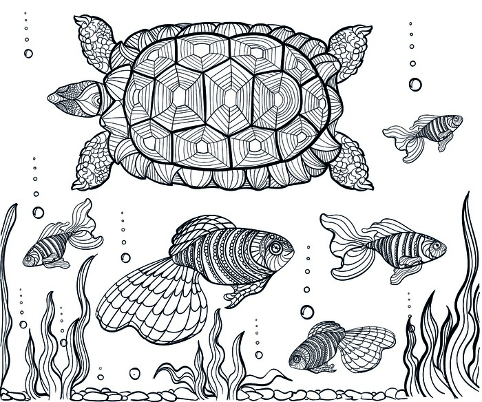 卡通手绘海洋动物黑白线描线稿eps,ai矢量模版下载