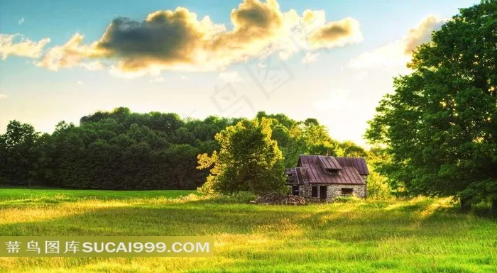 树林里漂亮的小屋风景图片