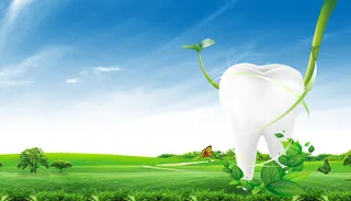 绿色清新氛围全国爱牙日背景