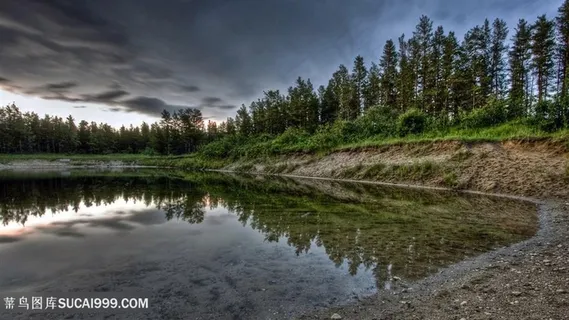 湖畔树林美景壁纸 湖畔树林美景壁纸