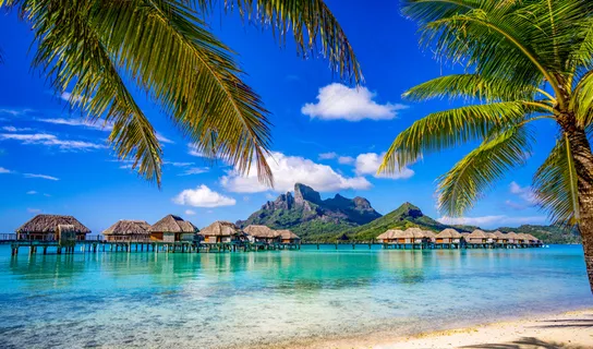 海滩风景海岛海洋海边度假棕榈树蓝天 海滩风景海岛海洋海边度假棕榈树蓝天