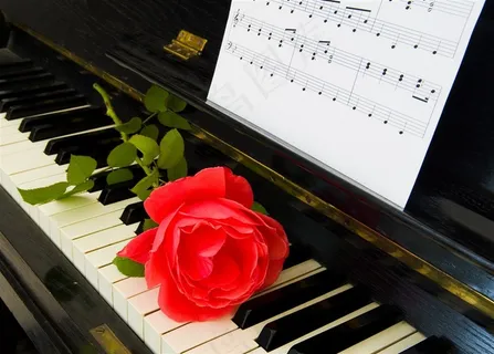钢琴上的曲谱与红玫瑰摄影 钢琴上的曲谱与红玫瑰摄影