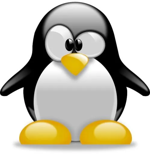 Linux 标志 PNG免抠(624x640)