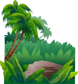 丛林 PNG免抠