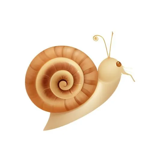 蜗牛免抠(2048x2048)