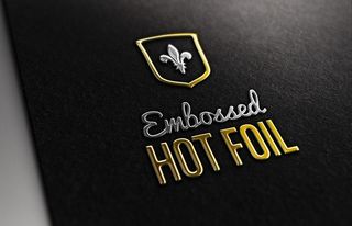 LOGO样机展示效果