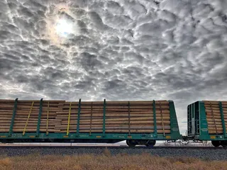 火车运输树干图片